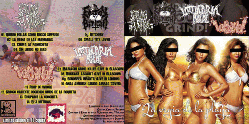 Urtikaria Anal : La Orgia de la Playa 4 Way Split